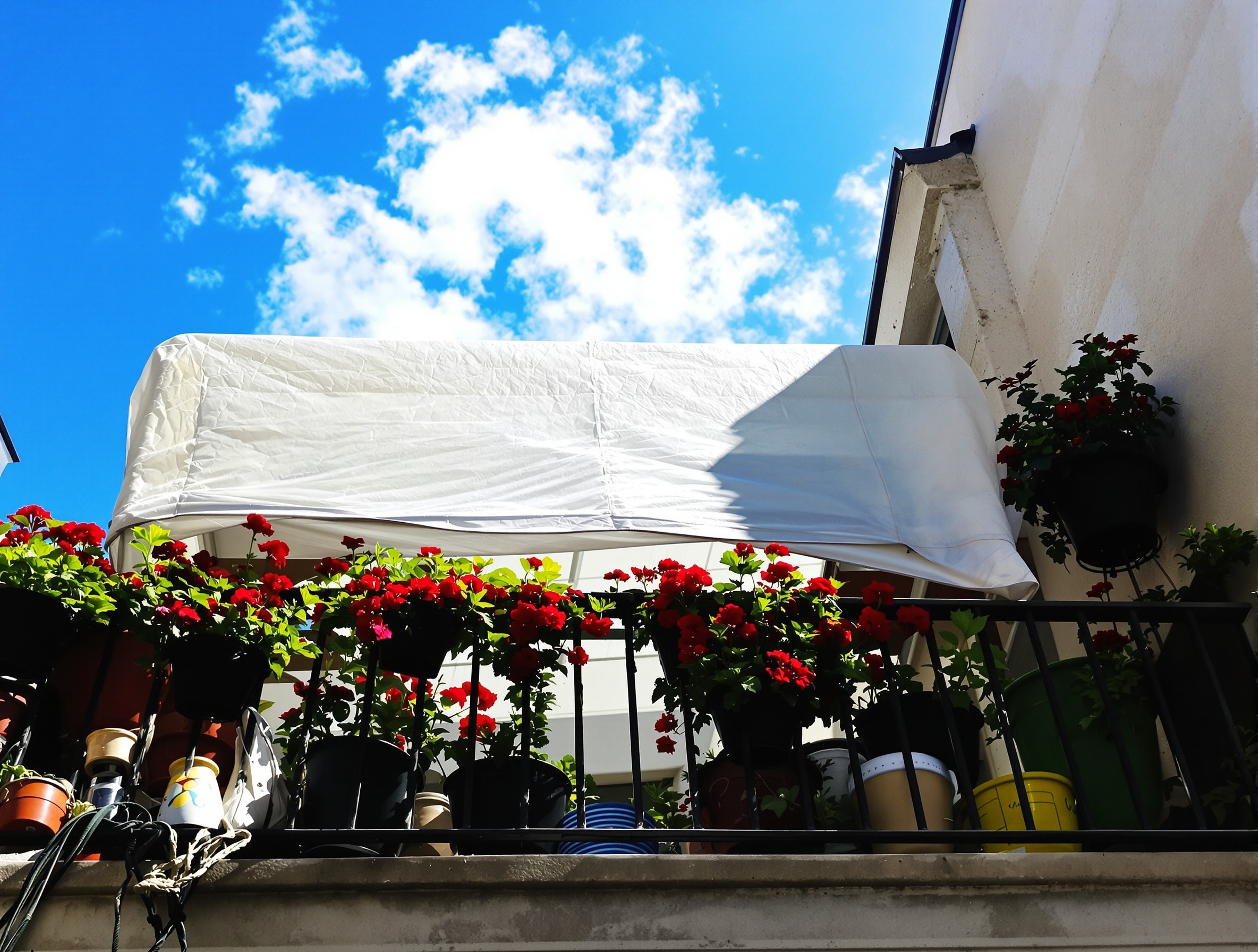 Balcon urbain vivant avec géraniums protégés sous voile blanc translucide contre soleil et vent.