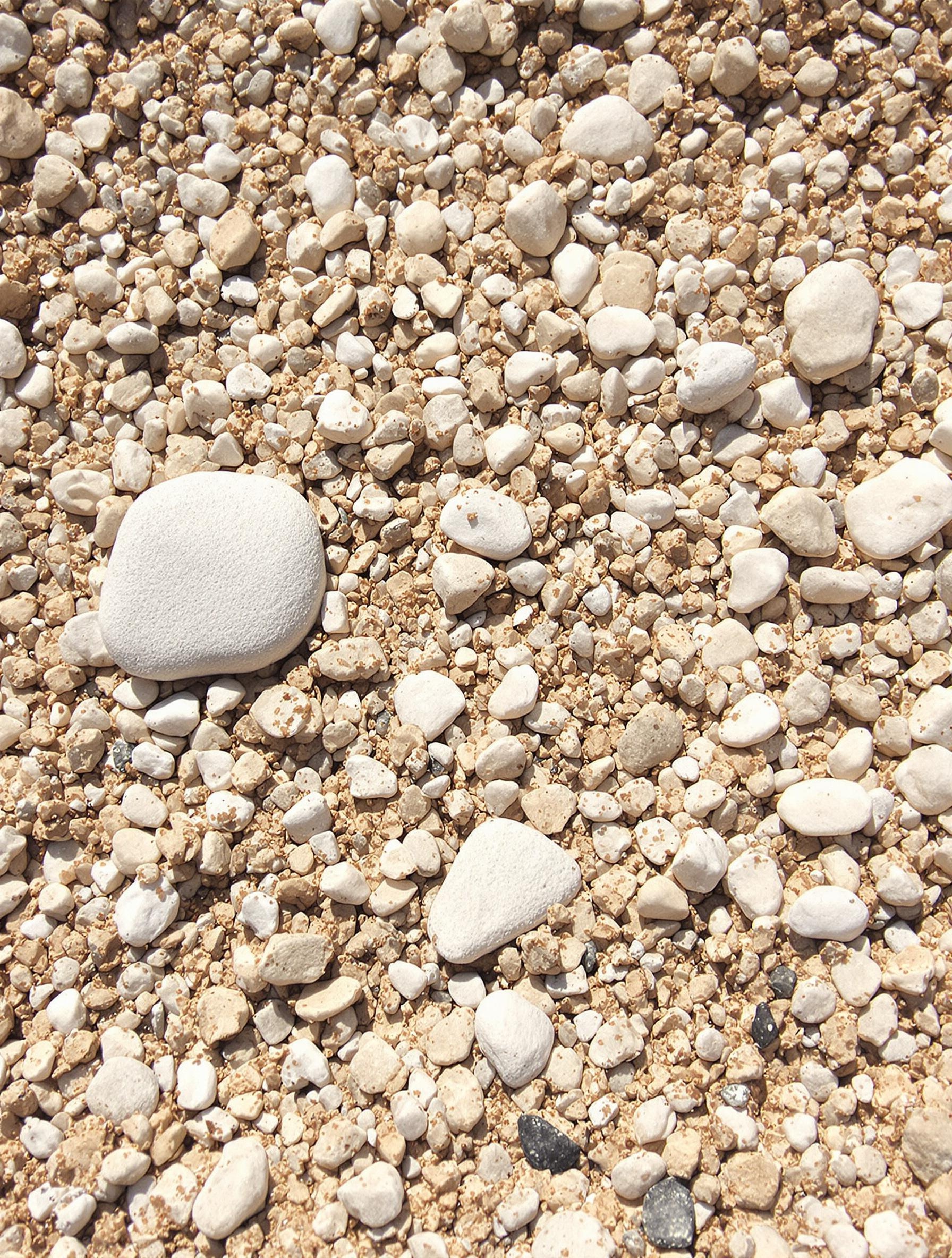 Substrat rocailleux grossier pour Leontopodium alpinum, cailloux blancs, sable et terre maigre prêts au rempotage.