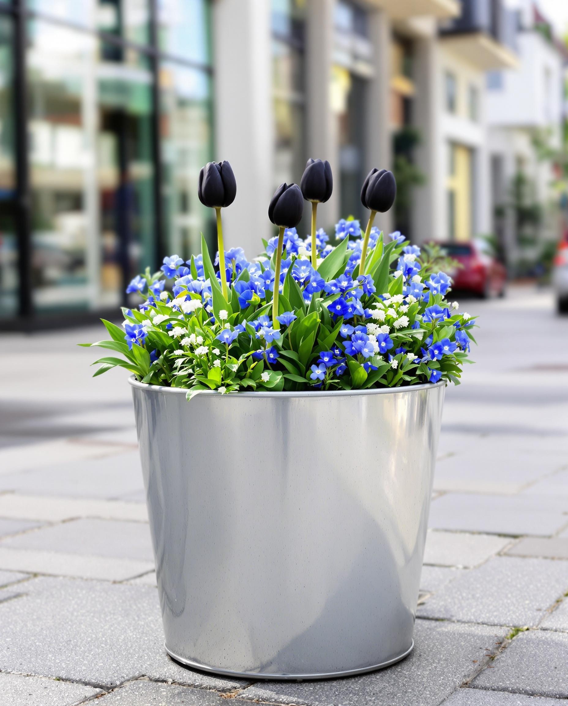 Jardinière décorative myosotis tulipe noire urban chic