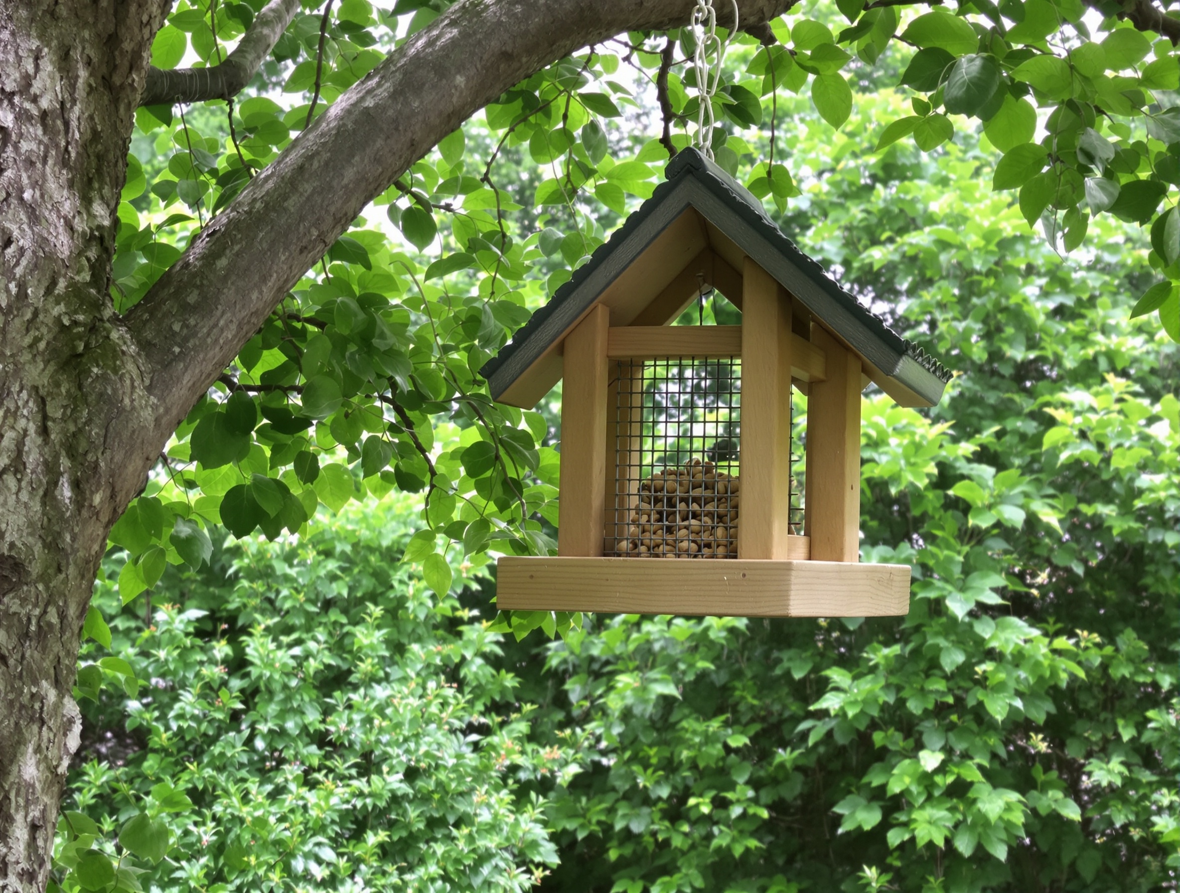 Mangeoire pour oiseaux installée sur une branche dans un jardin