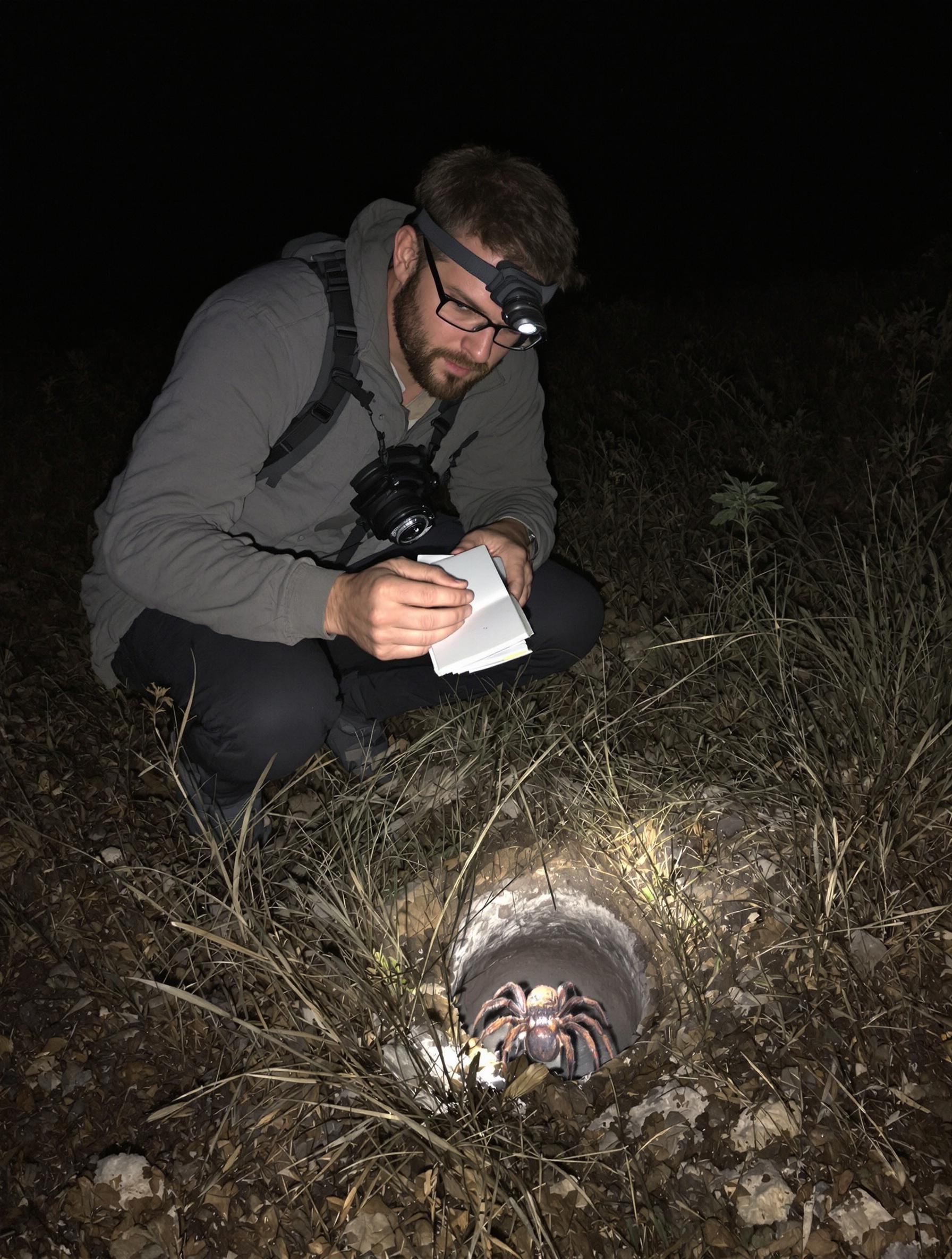Naturaliste amateur éclairant discrètement un terrier de mygale de nuit