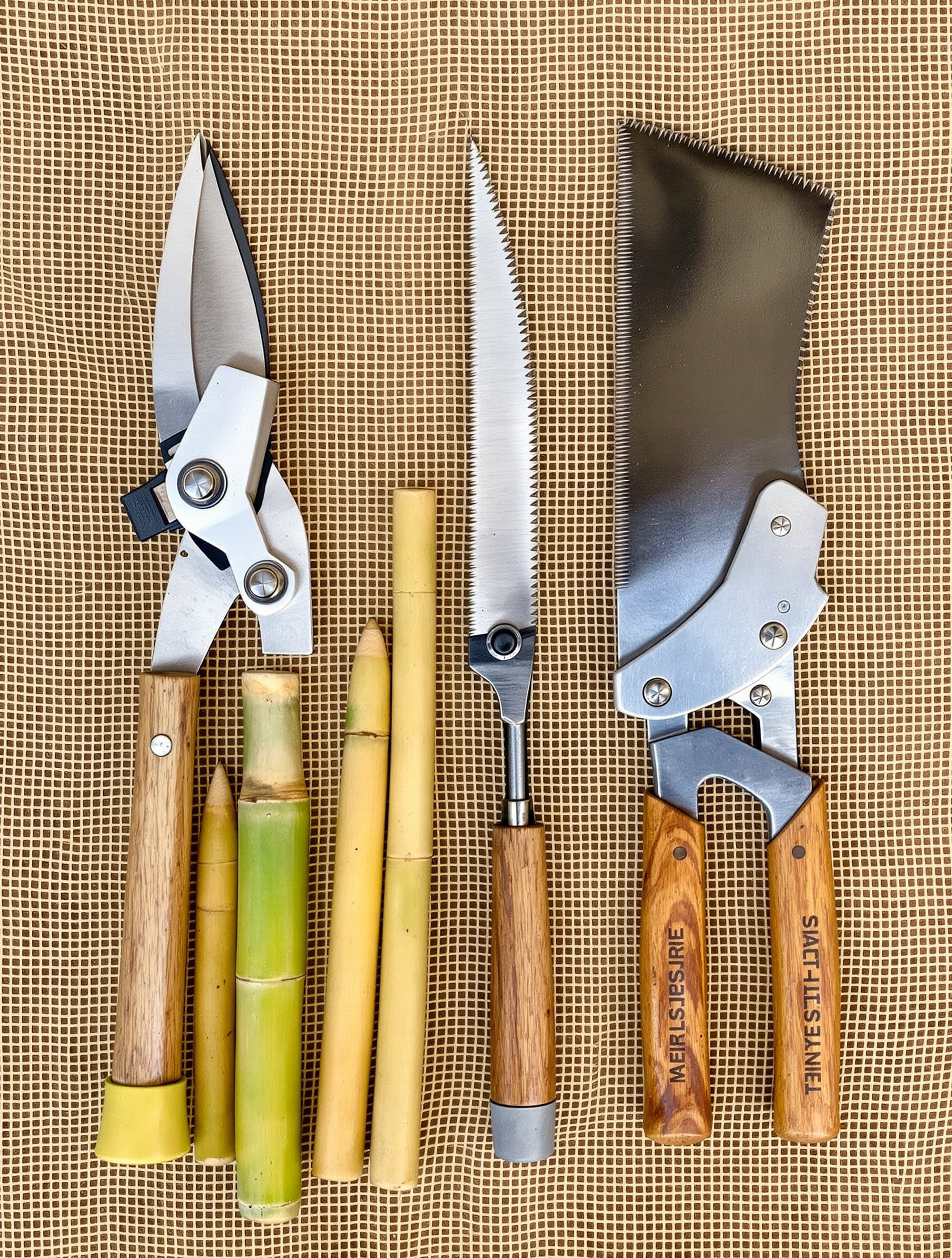 Outils essentiels taille bambou : sécateur robuste, coupe-branche, scie japonaise sur toile de jute, chaumes coupés