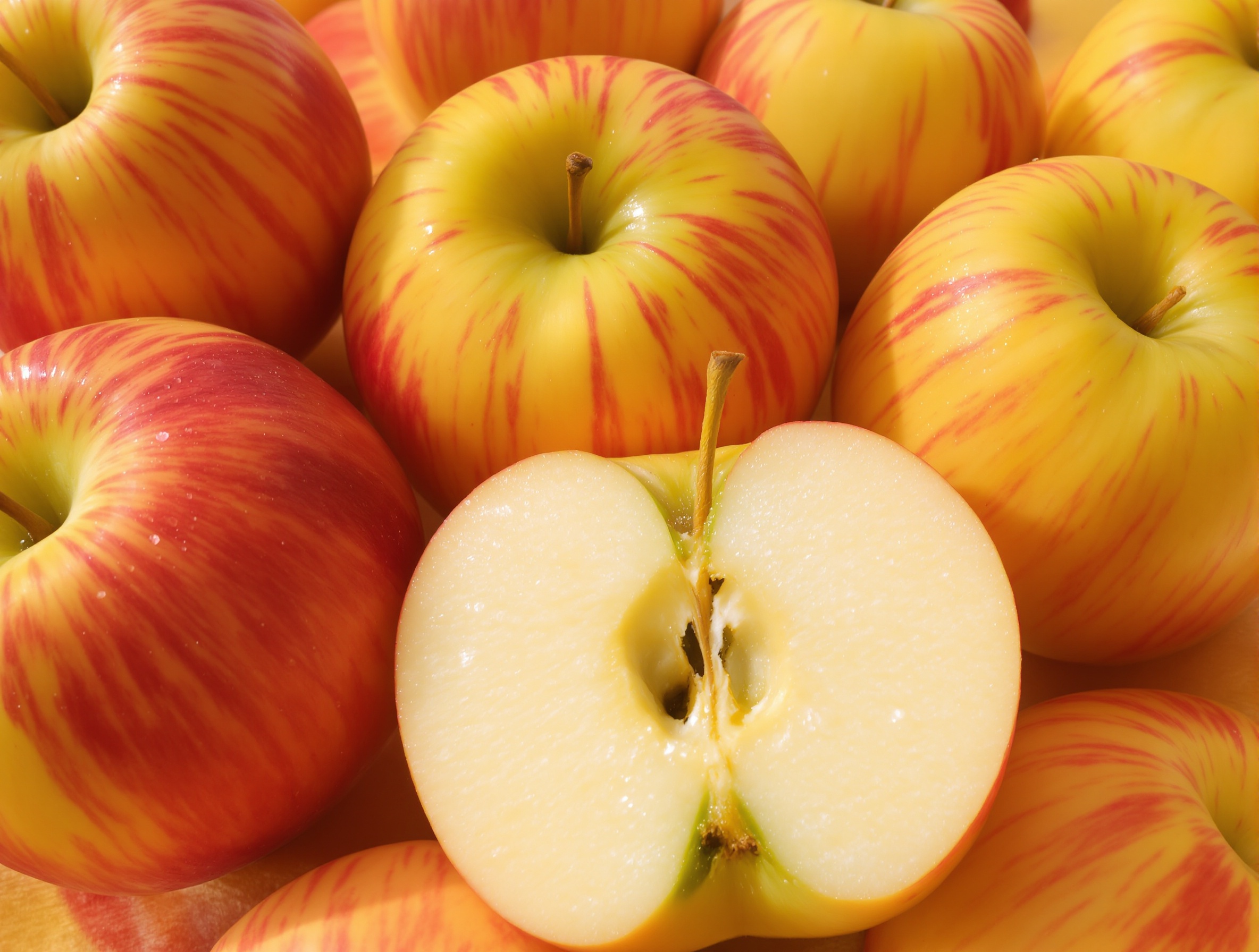 Pommes Reine des Reinettes appétissantes sur fond lumineux.