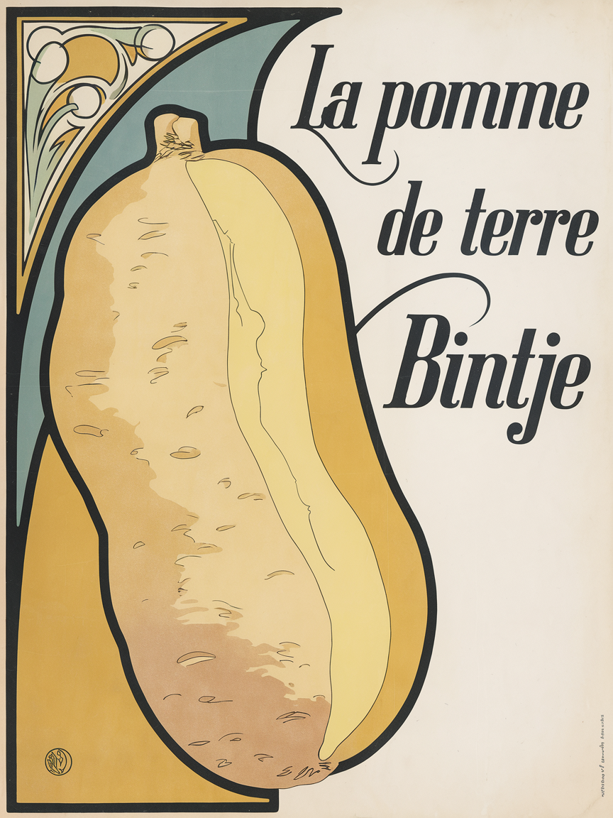 Portrait stylisé vintage de la pomme de terre Bintje avec peau fine dorée et chair jaune
