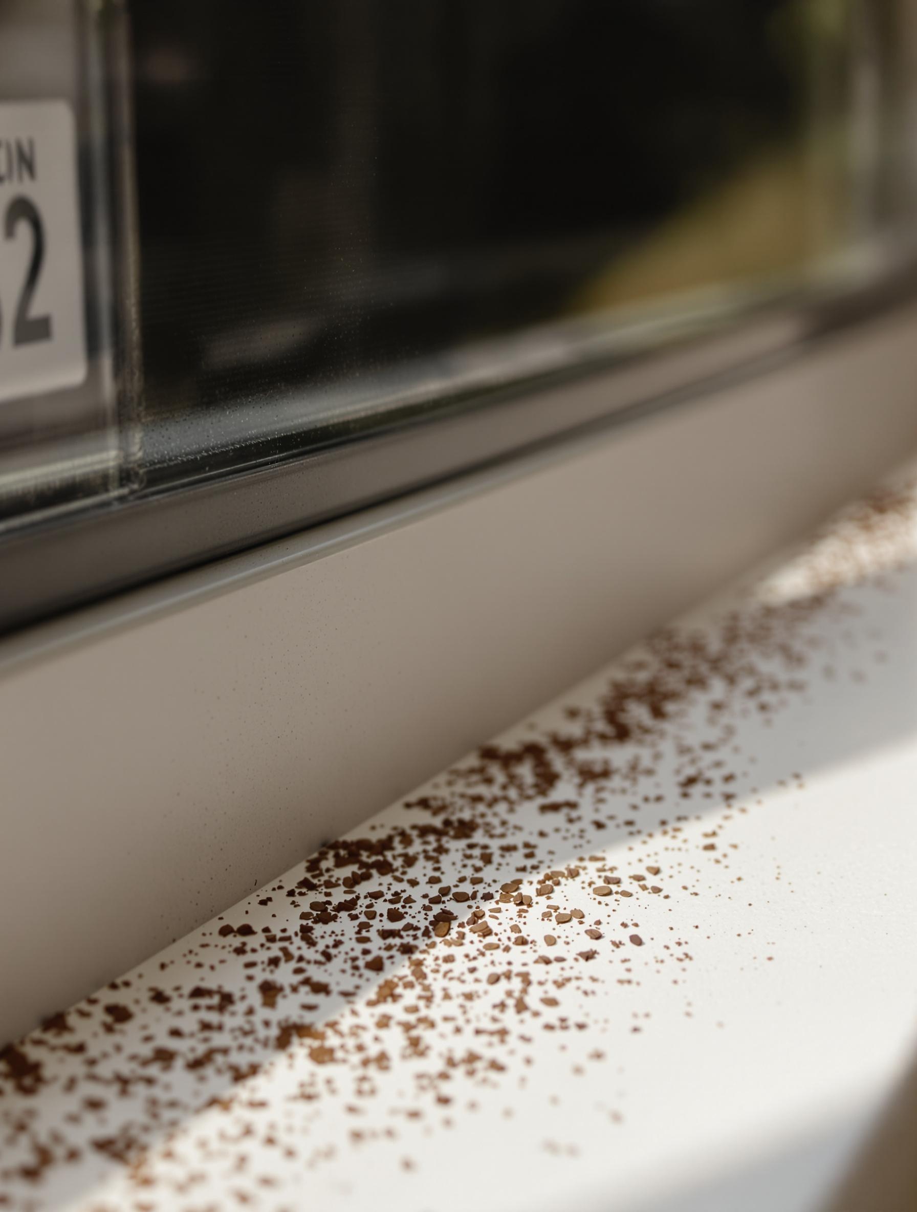 Marc de café saupoudré sur un rebord de fenêtre pour repousser les insectes