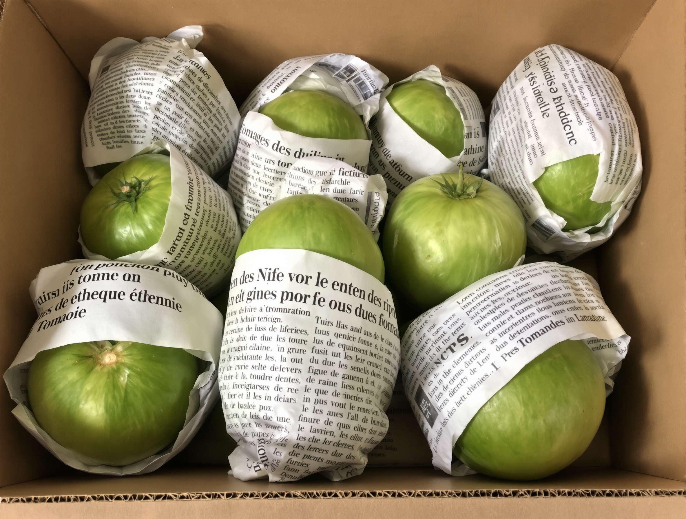 Image de tomates vertes enveloppées individuellement dans du papier journal et rangées dans une boîte en carton