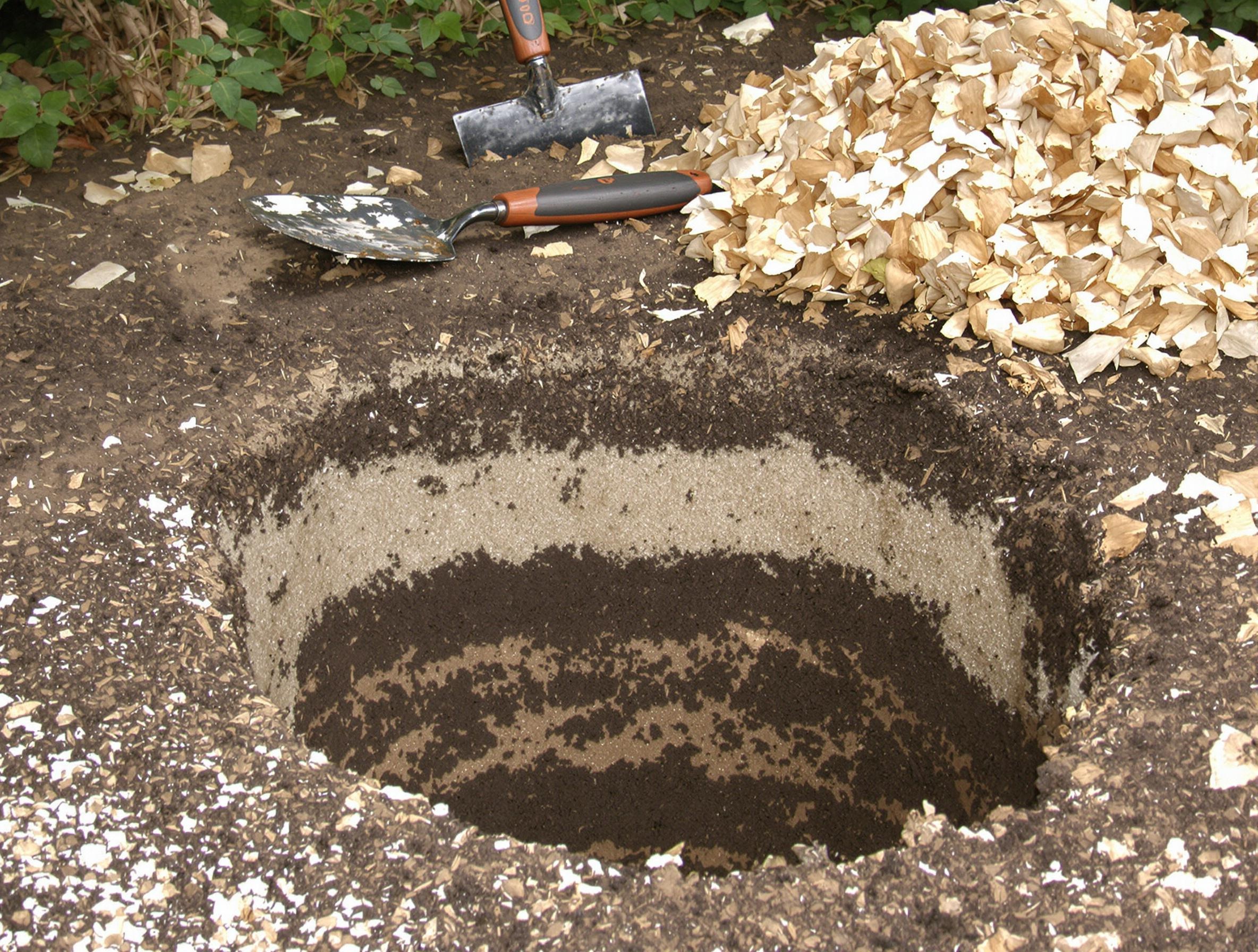 Trou de 40 cm avec mélange terre/compost et corne torréfiée pour planter un groseillier à maquereau